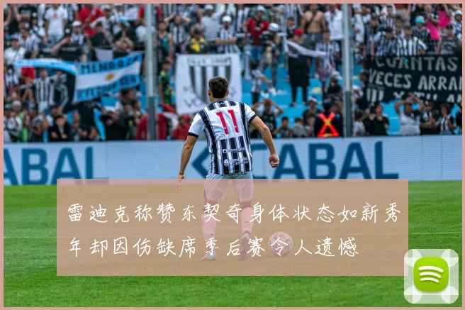 雷迪克称赞东契奇身体状态如新秀年却因伤缺席季后赛令人遗憾